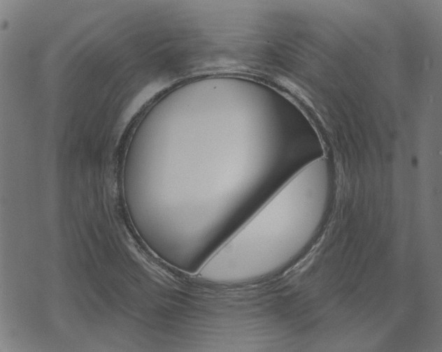 X0000075851458200609150918