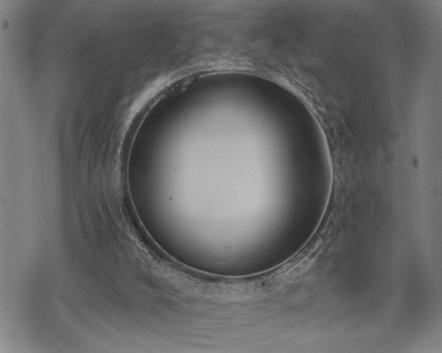 X0000075850008200609151212