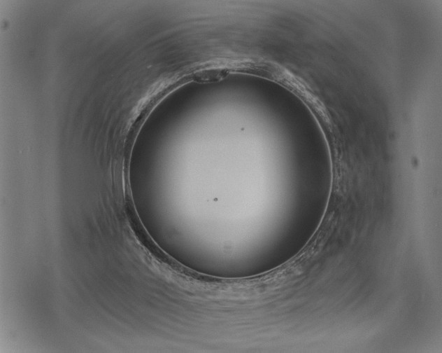 X0000075850011200609151212