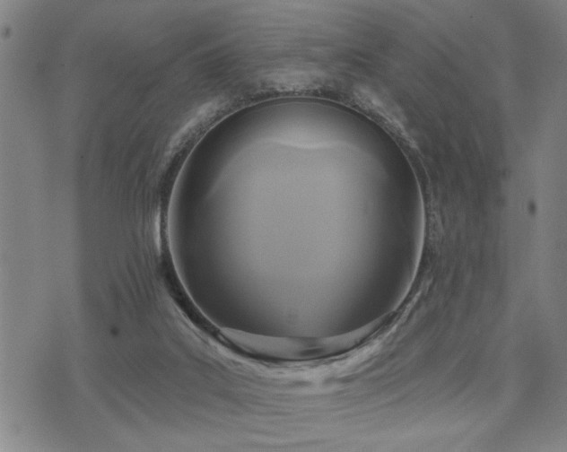 X0000075850019200609151212