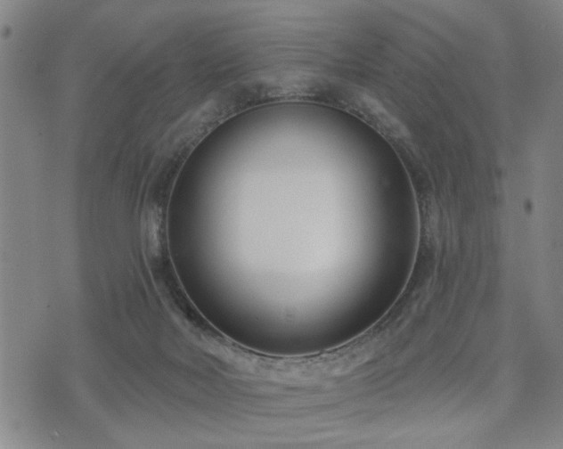 X0000075850026200609151212