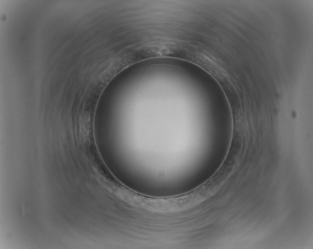 X0000075850030200609151212