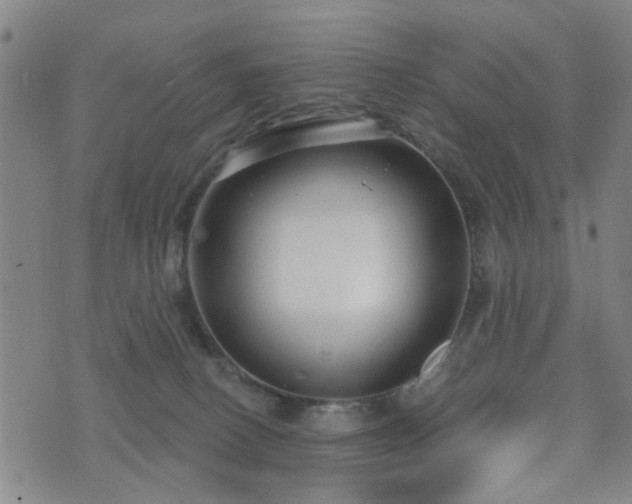 X0000075850082200609151211