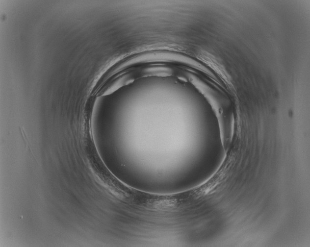X0000075850156200609151209