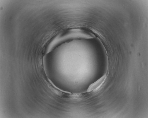 X0000075850192200609151210