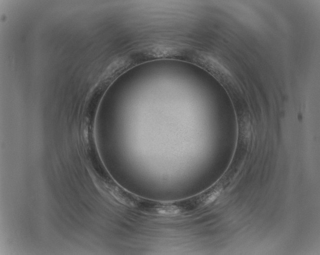 X0000075850214200609151209