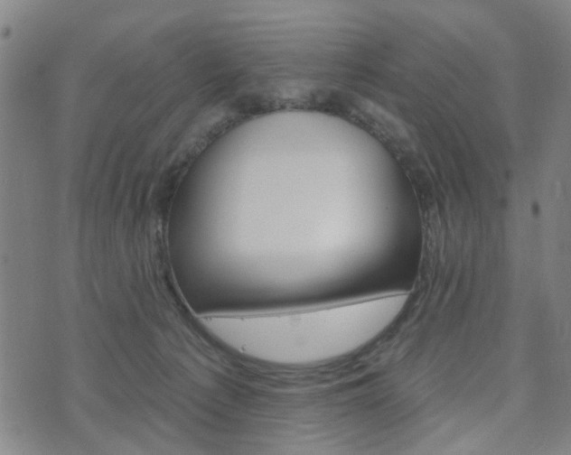 X0000075850225200609151209