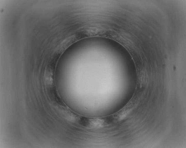 X0000075850226200609151209