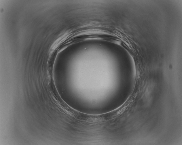 X0000075850245200609151208