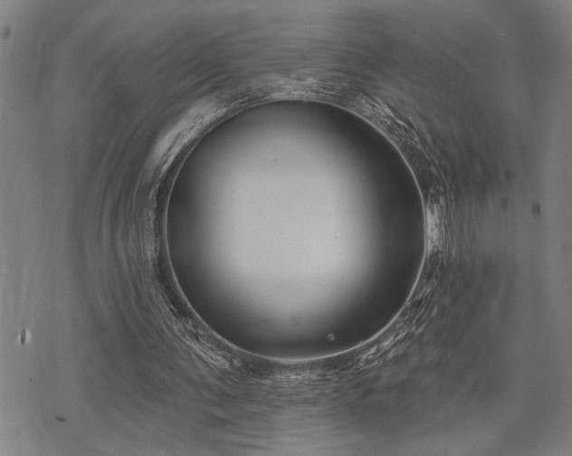 X0000075850291200609151208