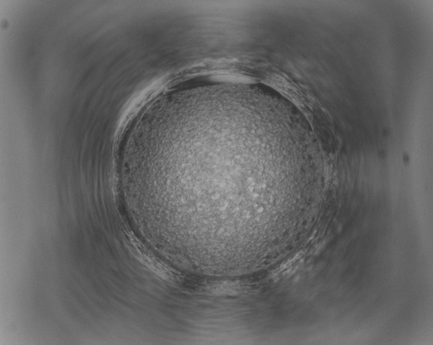 X0000075850293200609151208
