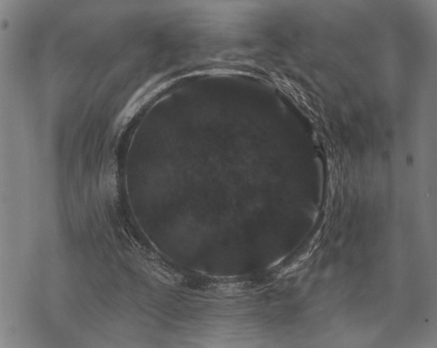 X0000075850295200609151208