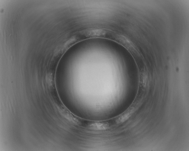 X0000075850326200609151207