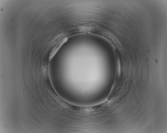 X0000075850329200609151207