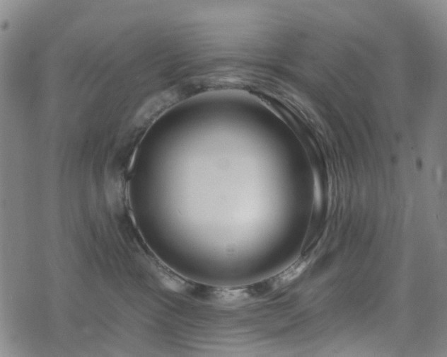 X0000075850333200609151207
