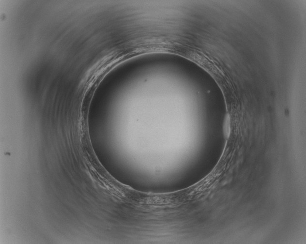 X0000075850338200609151206