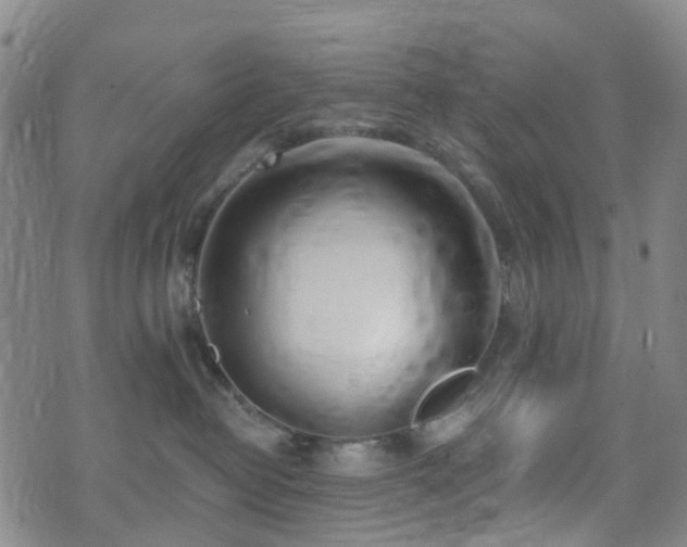 X0000075850382200609151207