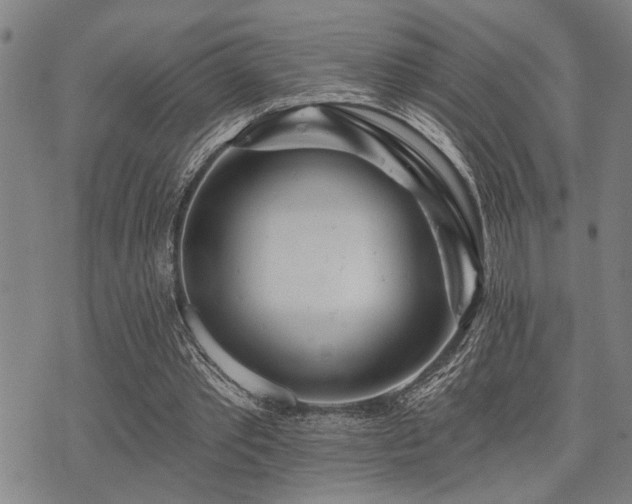 X0000075850389200609151206