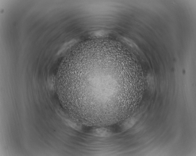 X0000075850423200609151206
