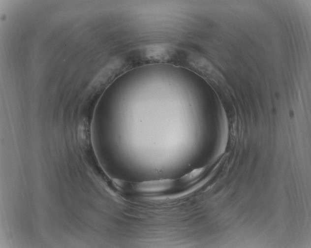 X0000075850424200609151205
