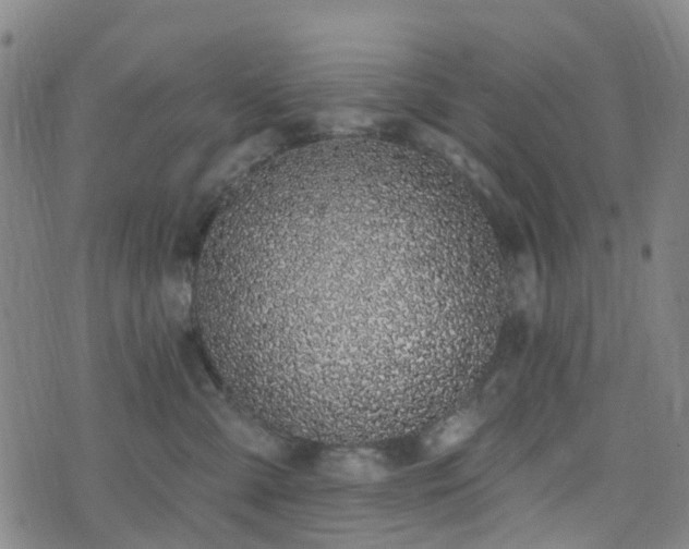 X0000075850427200609151205