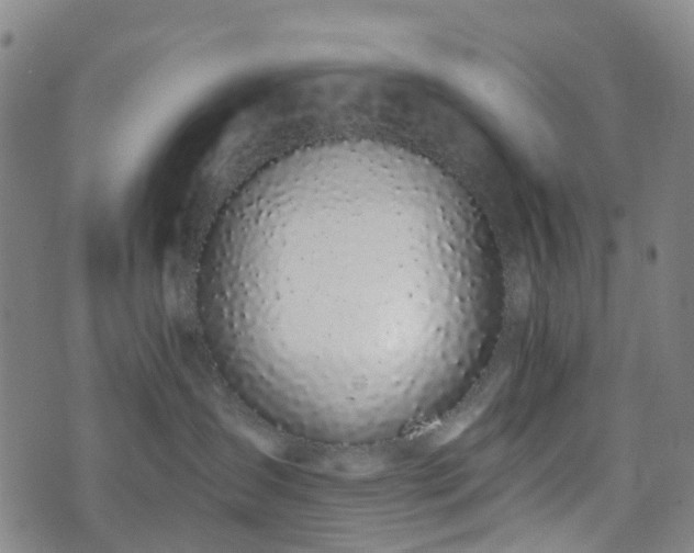 X0000075850431200609151205
