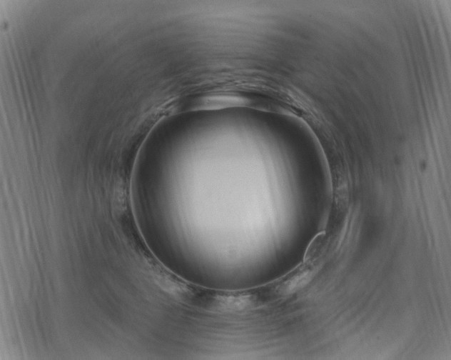 X0000075850469200609151205