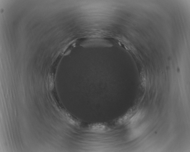 X0000075850471200609151205