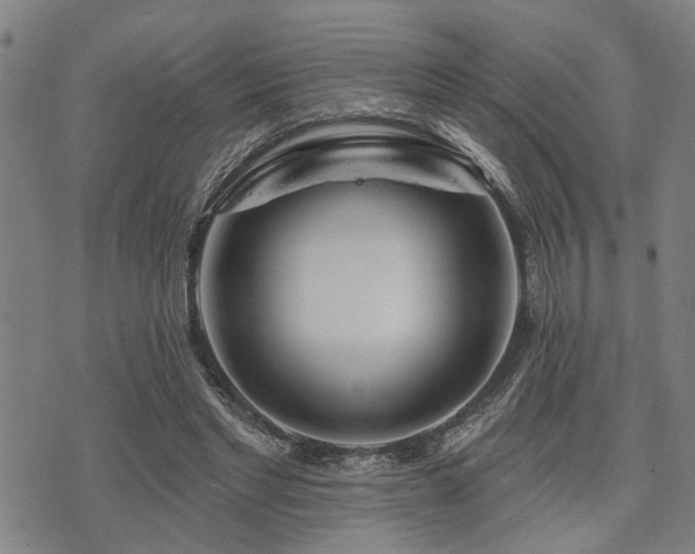 X0000075850493200609151204