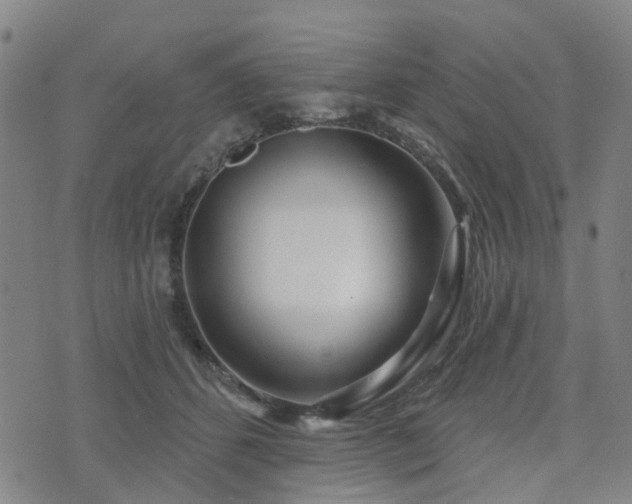 X0000075850512200609151204
