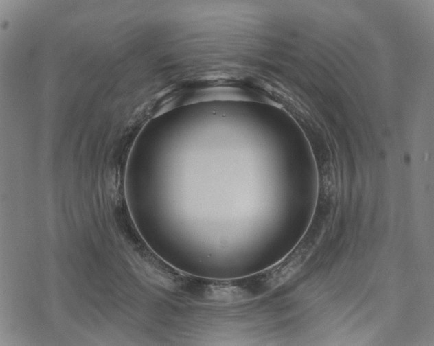 X0000075850605200609151203
