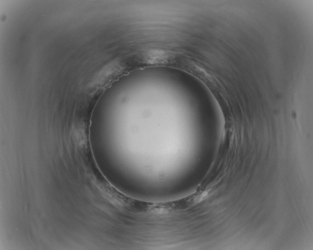 X0000075850620200609151202