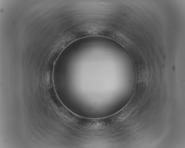 X0000075850646200609151202