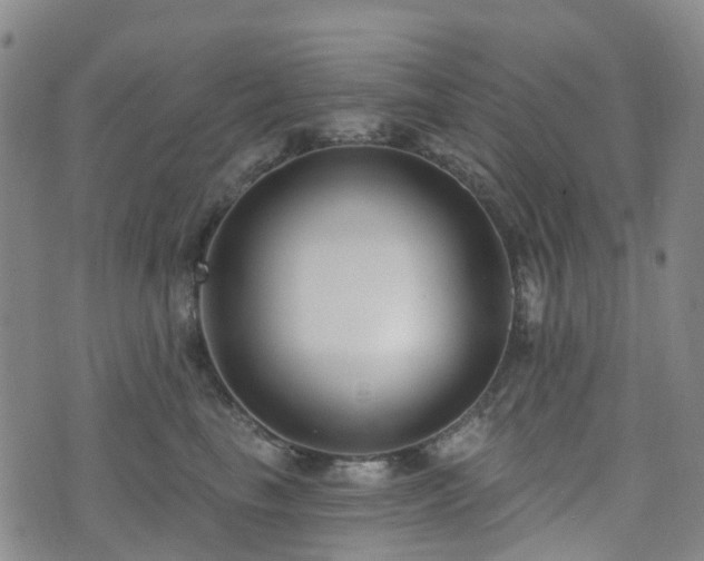 X0000075850665200609151202