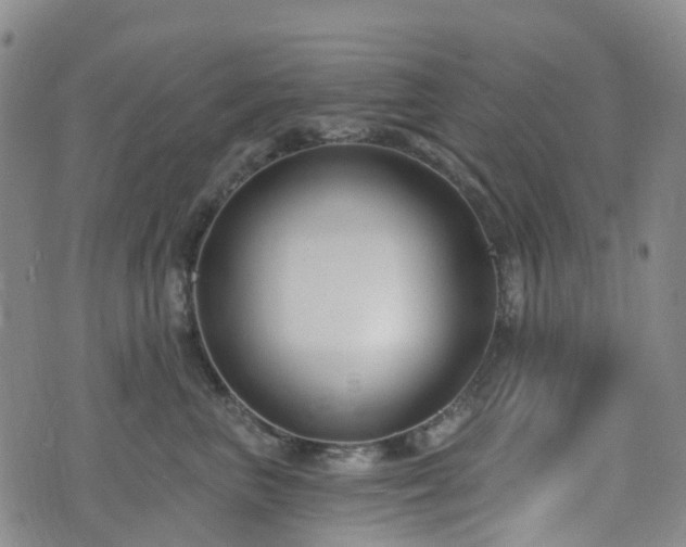 X0000075850667200609151202