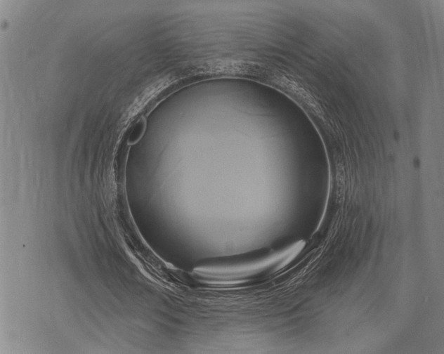 X0000075850674200609151201