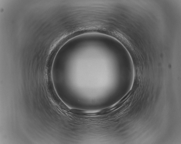 X0000075850676200609151201