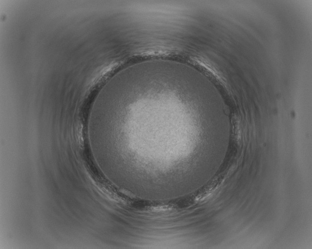 X0000075850692200609151201