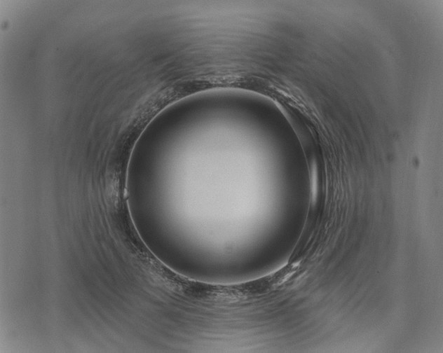 X0000075850697200609151201