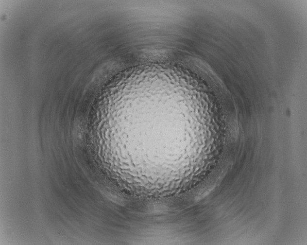 X0000075850701200609151201