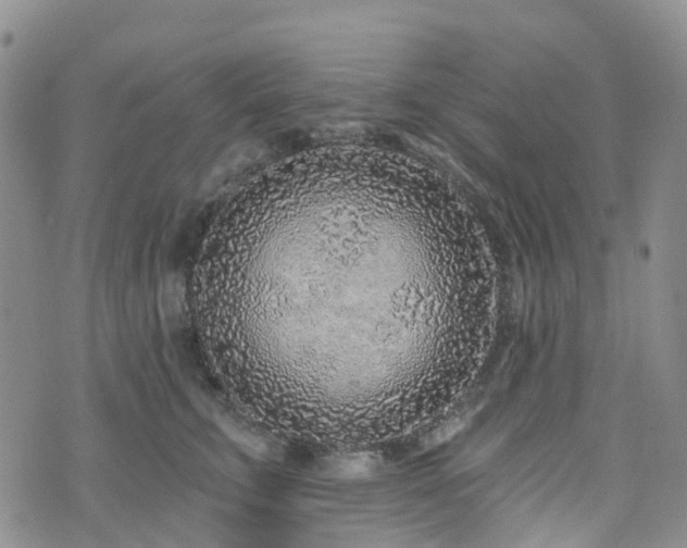 X0000075850711200609151201