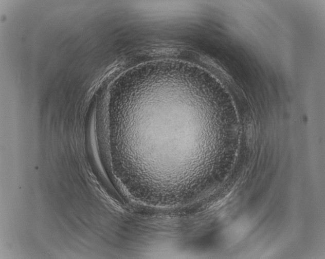 X0000075850729200609151200