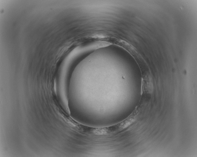X0000075850762200609151201