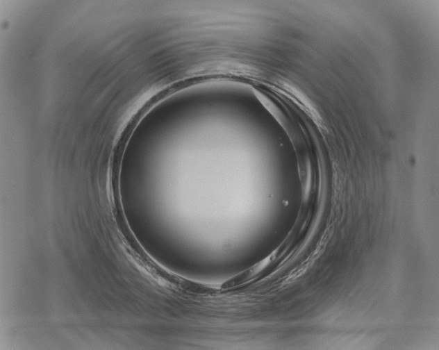 X0000075850788200609151200
