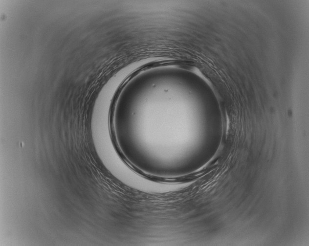 X0000075850818200609151158
