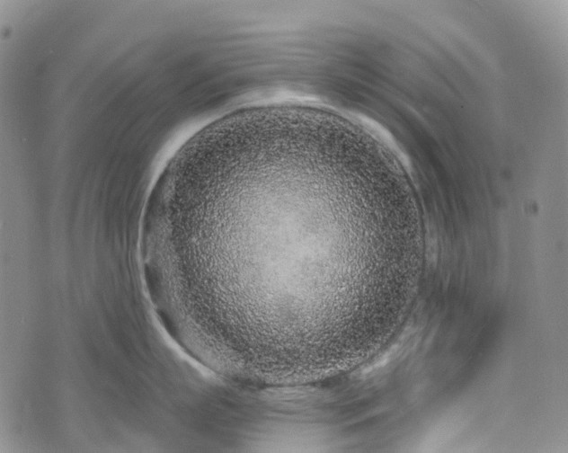 X0000075850863200609151159