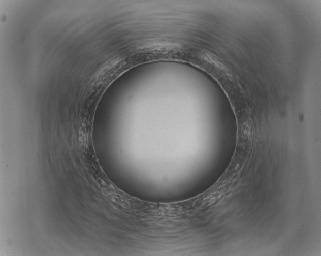 X0000075850869200609151158