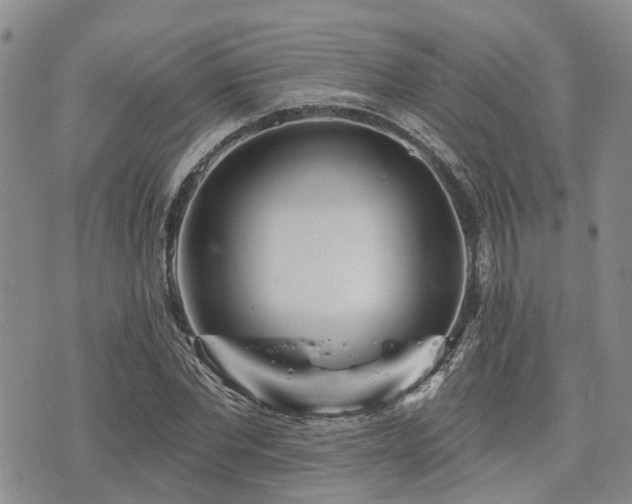 X0000075850877200609151158