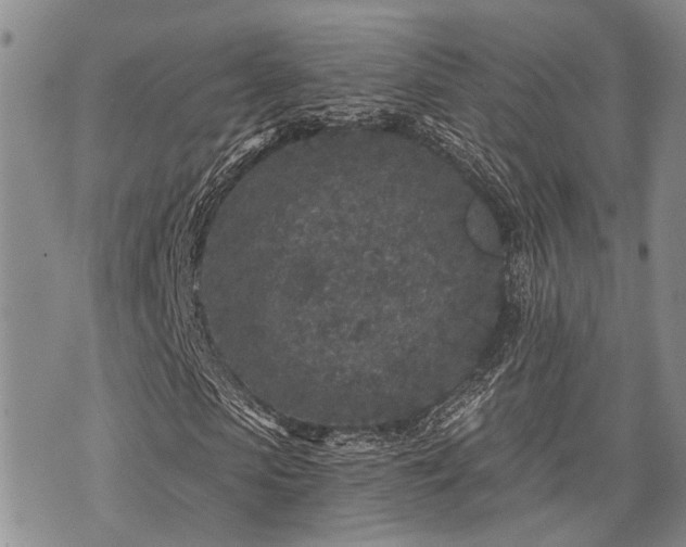 X0000075850913200609151157