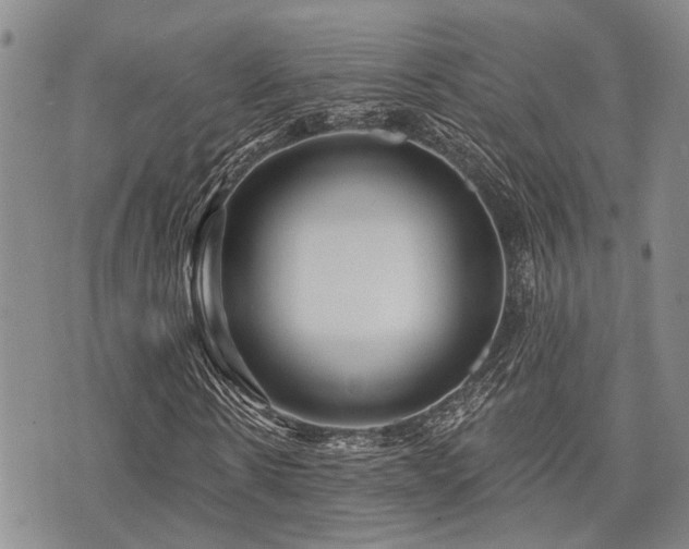 X0000075850914200609151157